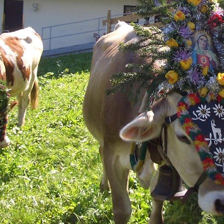 Hotel Gasthof Jaeger Zillertal Schlitters Ngoại thất bức ảnh